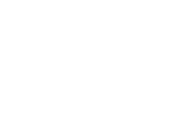 Finmeccanica